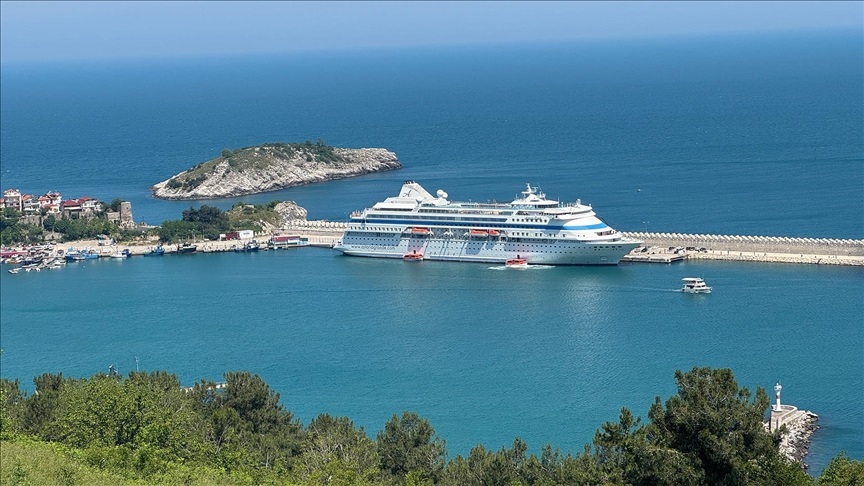 Large white cruise ship docked at a marina with turquoise water, a rocky island in the background, and green hills in the foreground.