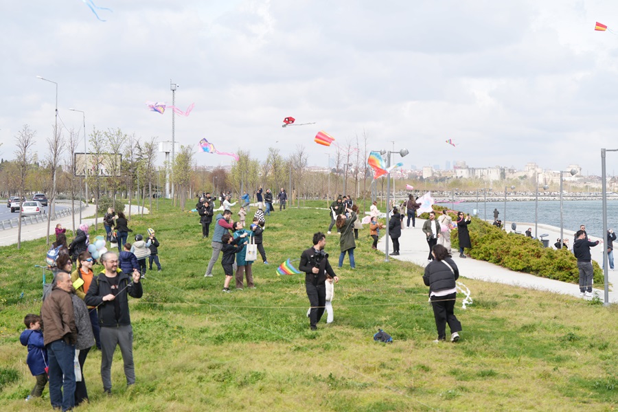 People flying colorful kites in a waterfront park on a sunny day.