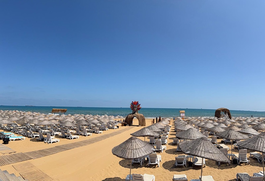 Wide view of a sunny beach with rows of straw umbrellas and white lounge chairs facing the sea under a clear blue sky.
