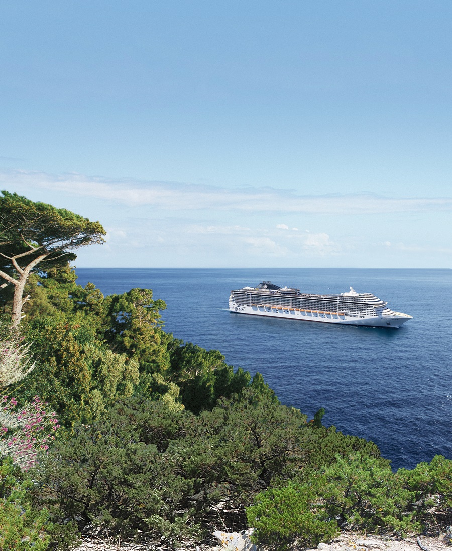 Cruise ship sailing near a rocky, tree-filled coastline under a clear blue sky.
